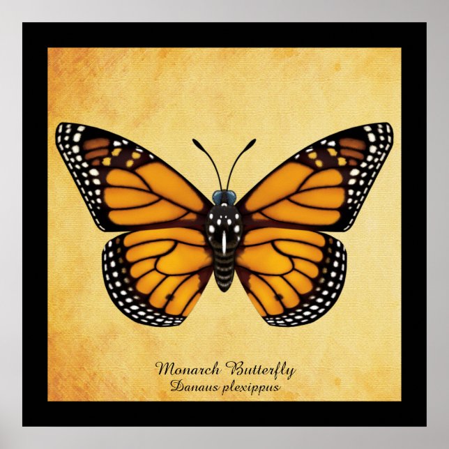 Monarch Butterfly Poster (Front)