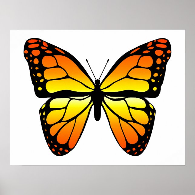 Monarch Butterfly Poster (Front)