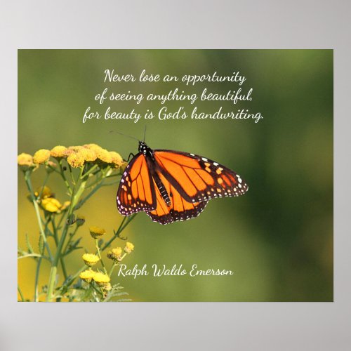 Monarch butterfly poster