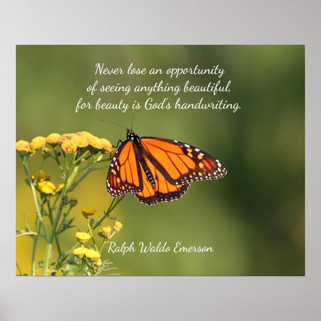 Monarch butterfly poster (Front)