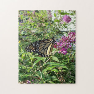 Monarch Butterfly puzzle