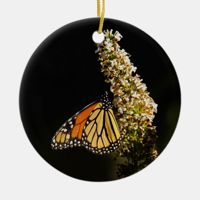 Monarch Butterfly Resting Ceramic Ornament (Front)