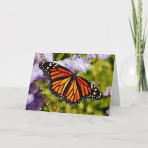 Monarch Butterfly Resting Scripture Note Card