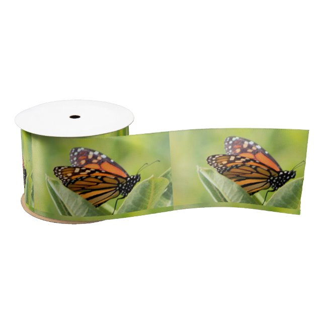 Monarch Butterfly Ribbon (Spool)