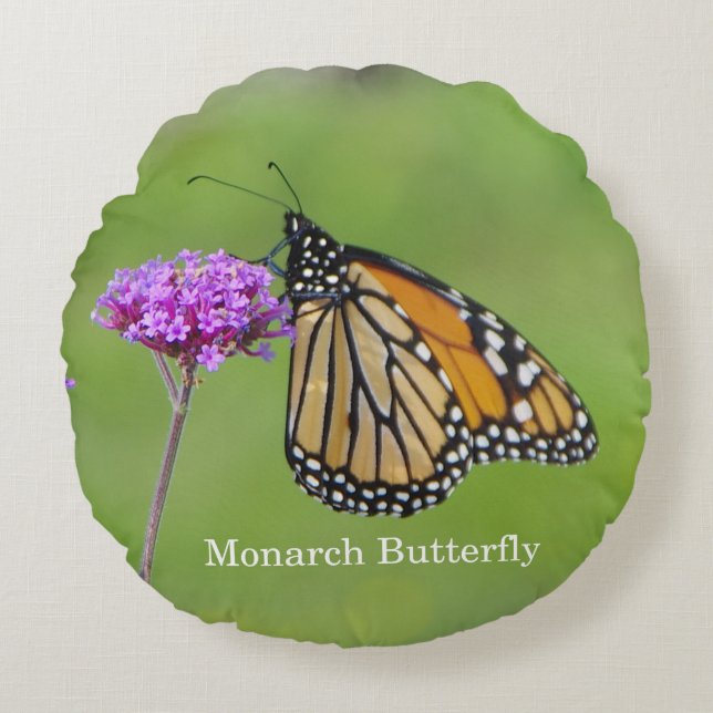 Monarch Butterfly round pillow (Front)