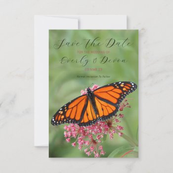 Monarch Butterfly Save The Date by CarriesCamera at Zazzle