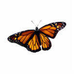 Monarch Butterfly Sculpture<br><div class="desc">A beautiful addition to your table or shelf. Monarchs remind us that God is with us and in control. Trust God.</div>