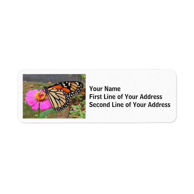 Monarch Butterfly Sipping a Pink Zinnia Label (Front)