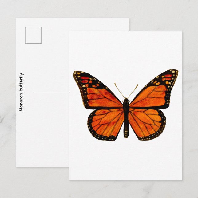 Monarch butterfly Small Postcard (Front/Back)