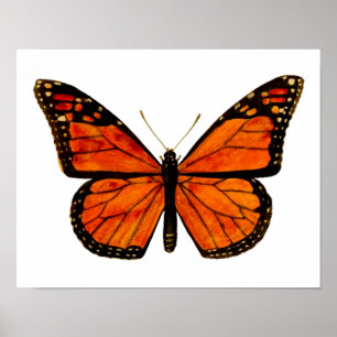 Monarch butterfly Small Poster
