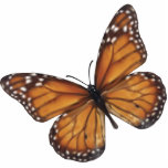 Monarch Butterfly Statuette<br><div class="desc">Monarch Butterfly vector art</div>