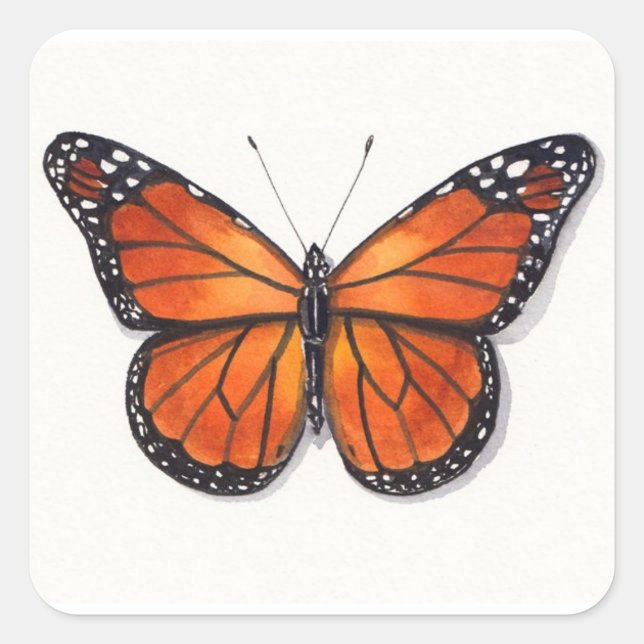 Monarch Butterfly Sticker (Front)