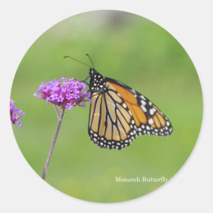 Monarch Butterfly sticker