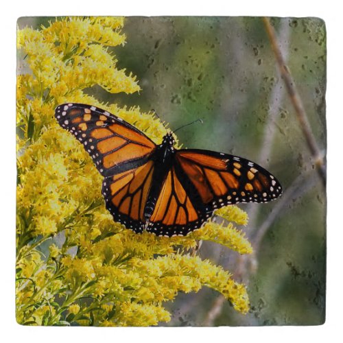 Monarch Butterfly Stone Trivet