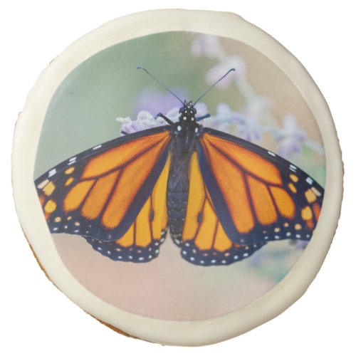 Monarch Butterfly Sugar Cookie