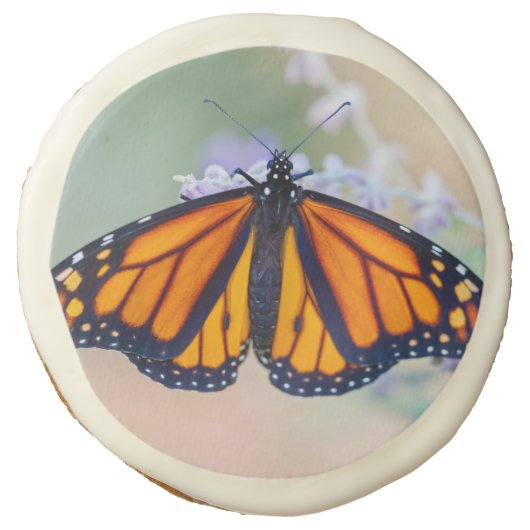 Monarch Butterfly Sugar Cookie (Front)