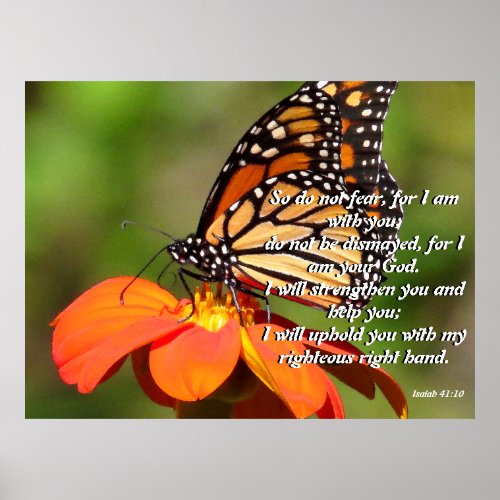 Monarch Butterfly Sunflower Flower Poster