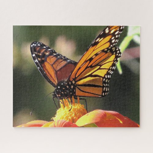 Monarch Butterfly Sunflower Flower Puzzle