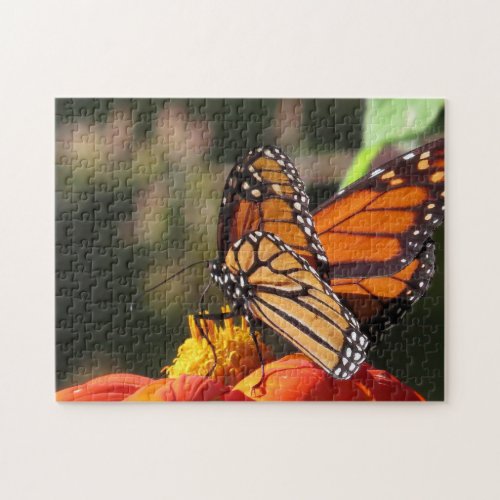 Monarch Butterfly Sunflower Flower Puzzle