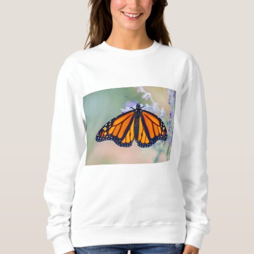Monarch Butterfly Sweatshirt
