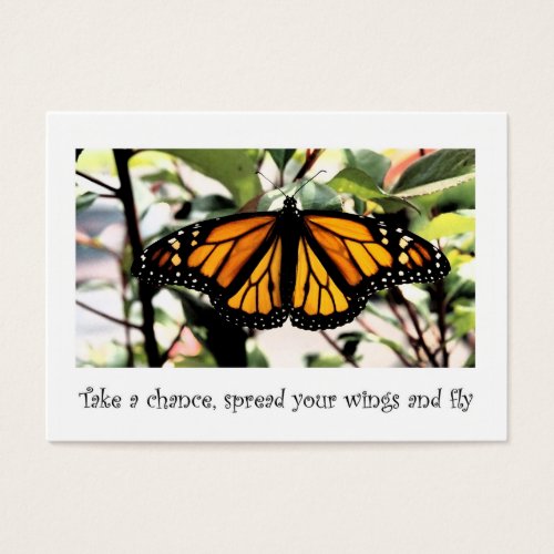 monarch butterfly take a chance
