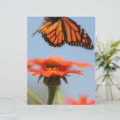 Monarch Butterfly Takes Flight (Standing Front)