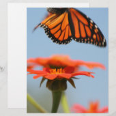Monarch Butterfly Takes Flight (Front/Back)