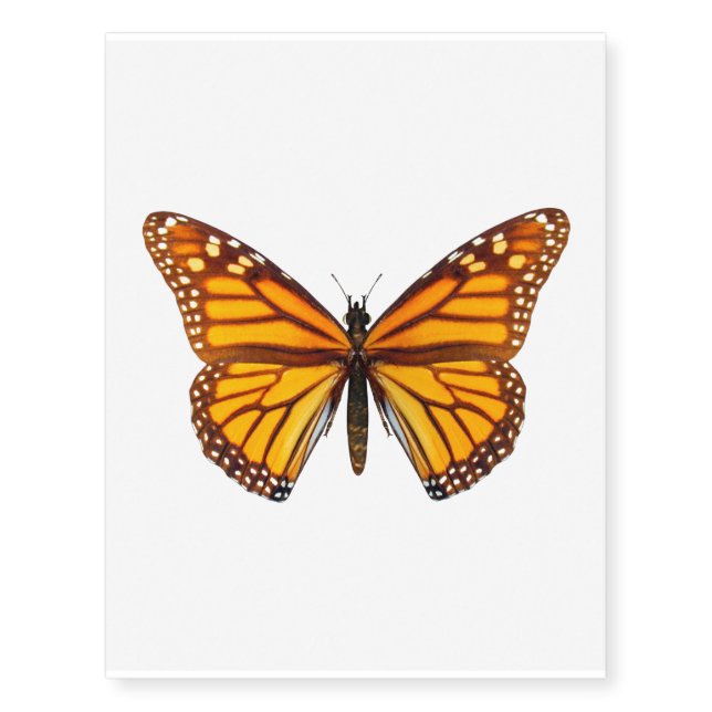 Monarch Butterfly Temporary Tattoos (Front)