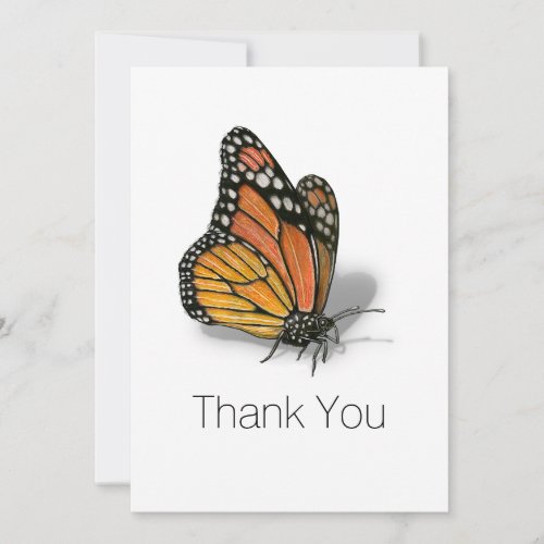 Monarch Butterfly Thank You