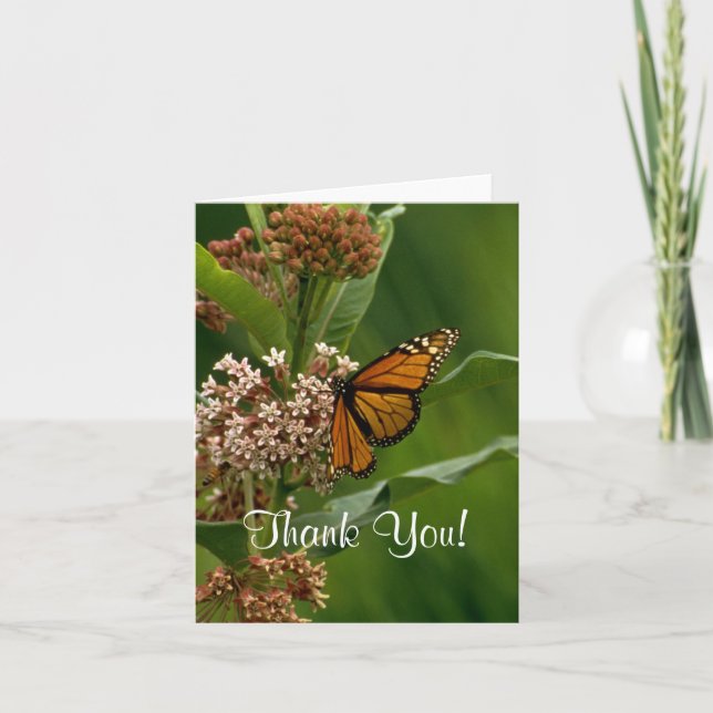 Monarch Butterfly Thank You Card (Front)