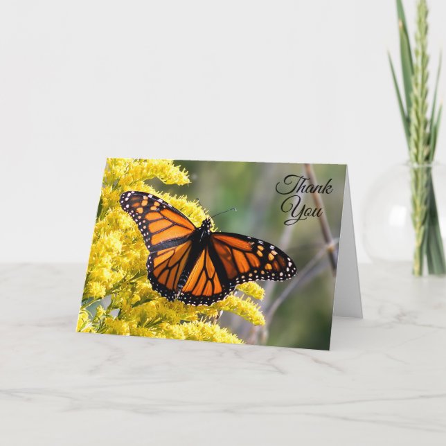 Monarch Butterfly Thank You Greeting Card (Front)