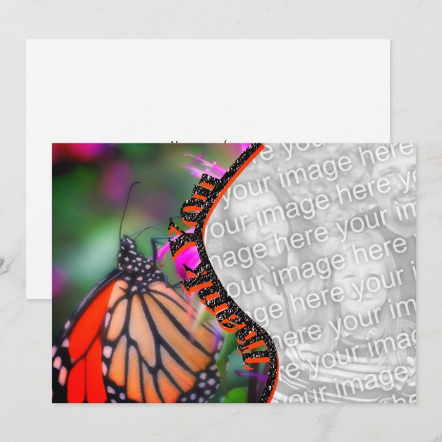 Monarch Butterfly Thank You Photo Card (Front/Back)