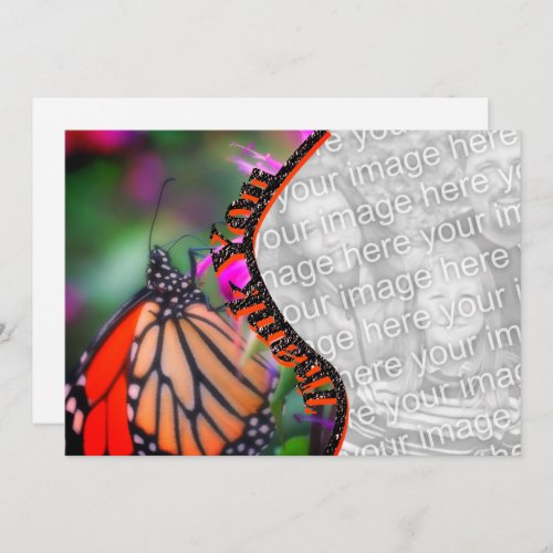 Monarch Butterfly Thank You Photo Card