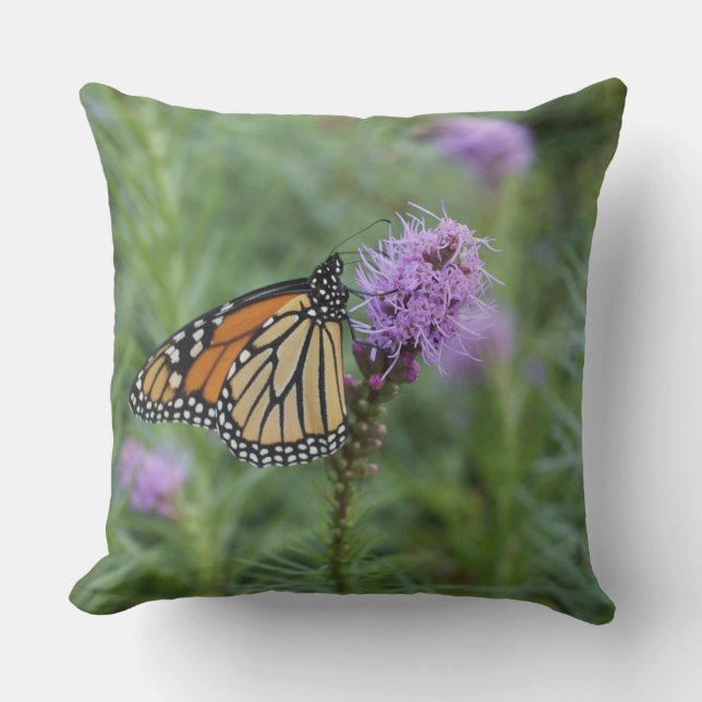 Monarch Butterfly Throw Pillow (Front)