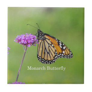 Monarch Butterfly tile