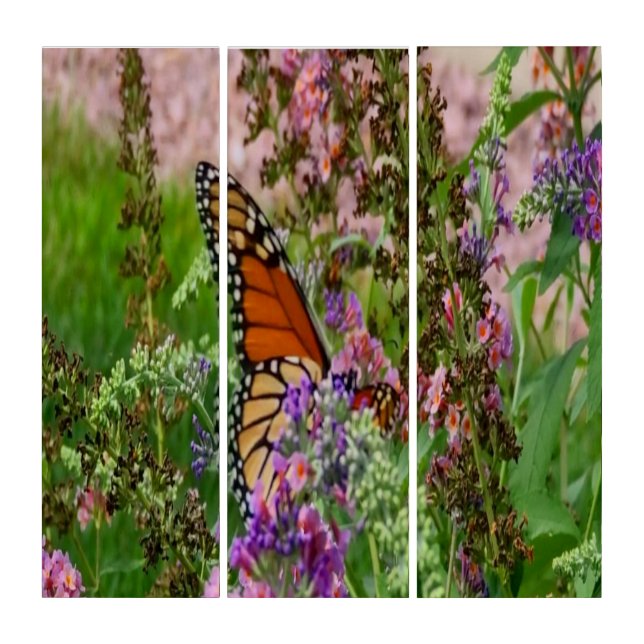 Monarch Butterfly Triptych (Front)