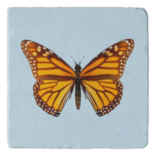 Monarch Butterfly Trivet