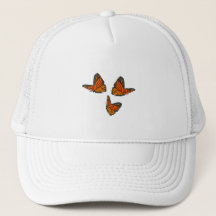 Monarch Butterfly