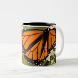 Monarch Butterfly Two-Tone Coffee Mug