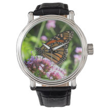 Monarch Butterfly Watch