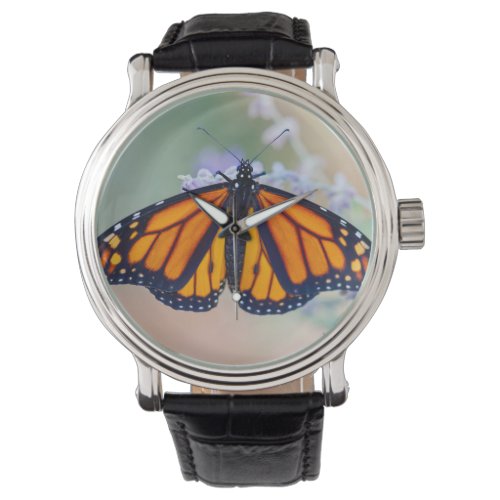 Monarch Butterfly Watch