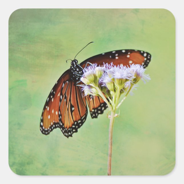 Monarch Butterfly Wildflower Sticker (Front)