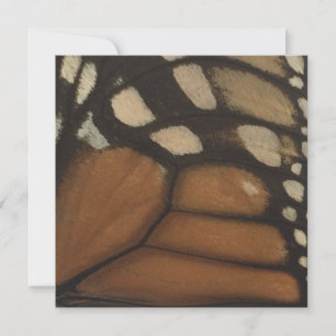Monarch Butterfly Wing Close Up Holiday Card