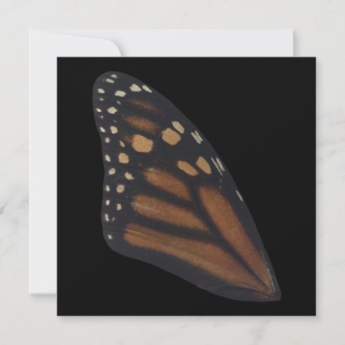Monarch Butterfly Wing On Black  Holiday Card