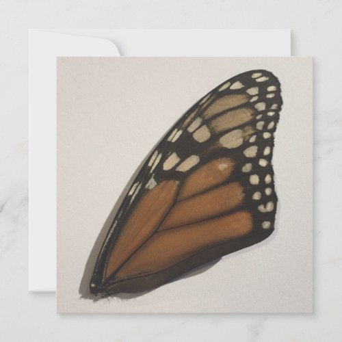 Monarch Butterfly Wing On Paper  Holiday Card