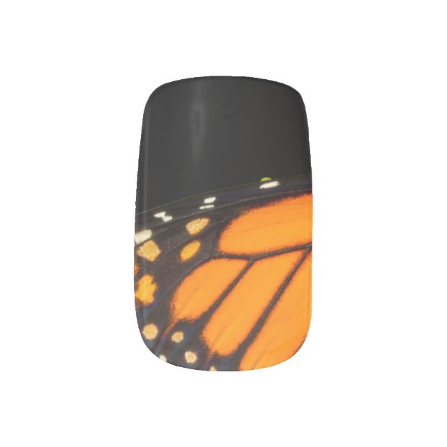 Monarch Butterfly Wings Nail Art - Photography (Left Thumb)