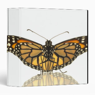 Monarch butterfly with wings spread 3 ring binder