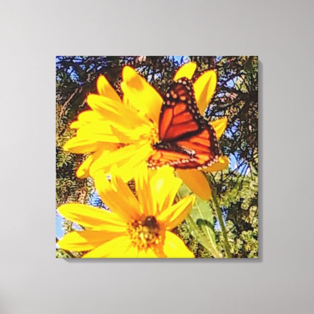 Monarch Butterfly Wrapped Canvas Print (Front)