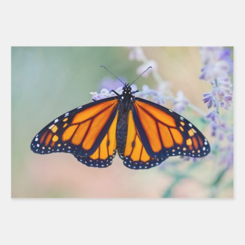 Monarch Butterfly Wrapping Paper Sheets