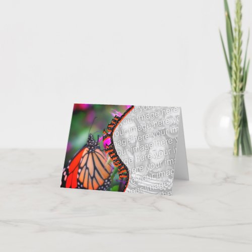 Monarch Butterfly Your Photo Thank You Card